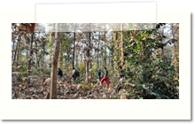 adventure activities in bilaspur chhattisgarh