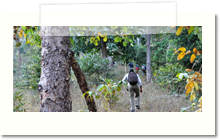 adventure activities in bilaspur chhattisgarh