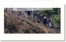 adventure activities in bilaspur chhattisgarh